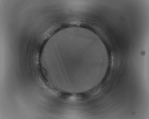 X0000112150504200909041107