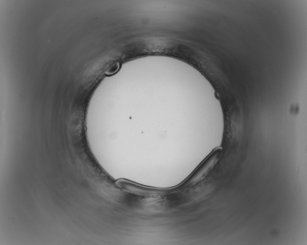 X0000112150505200909041107