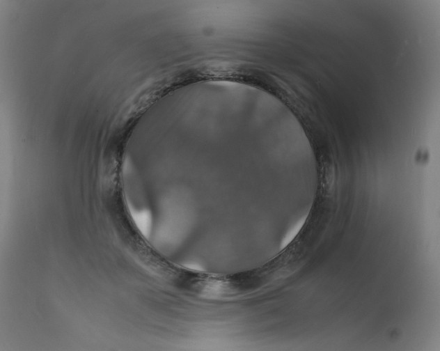 X0000112150507200909041107