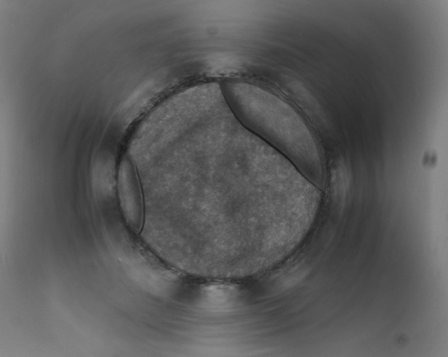 X0000112150508200909041107