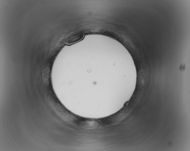 X0000112150509200909041107