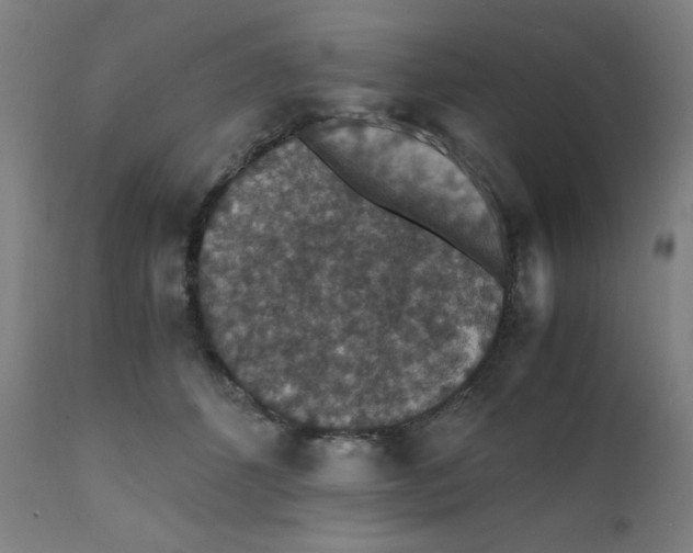 X0000112150512200909041107