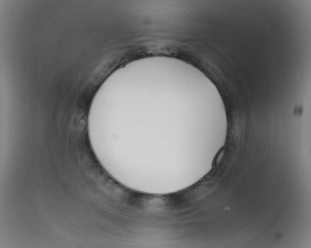 X0000112150513200909041107