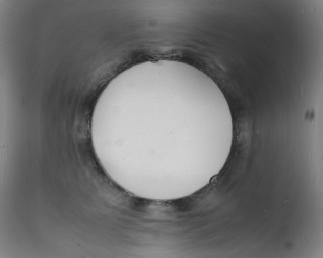 X0000112150515200909041107