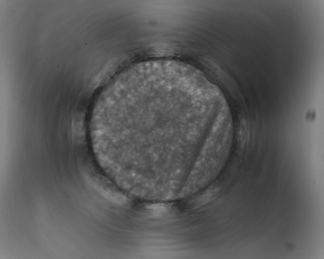 X0000112150516200909041107