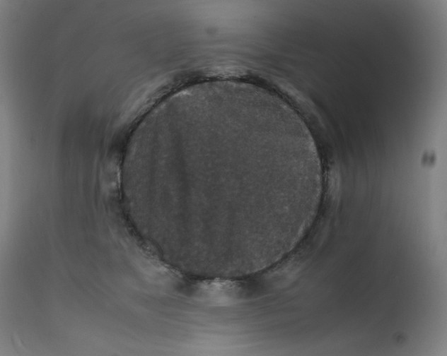 X0000112150517200909041107