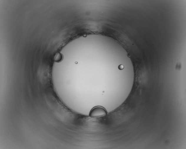 X0000112150518200909041106