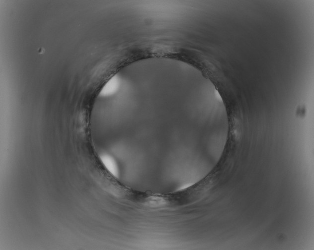 X0000112150519200909041106