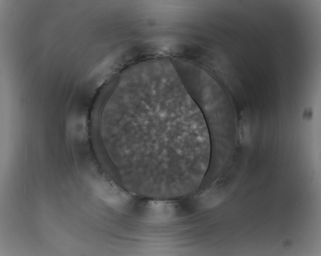 X0000112150520200909041106