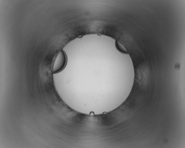 X0000112150522200909041106