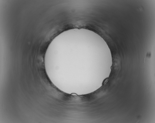 X0000112150523200909041106