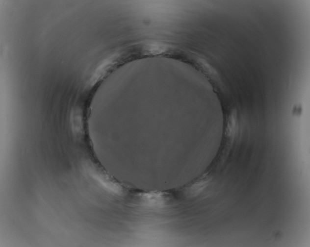 X0000112150524200909041106