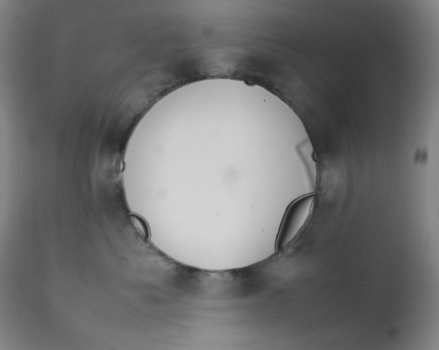 X0000112150525200909041106