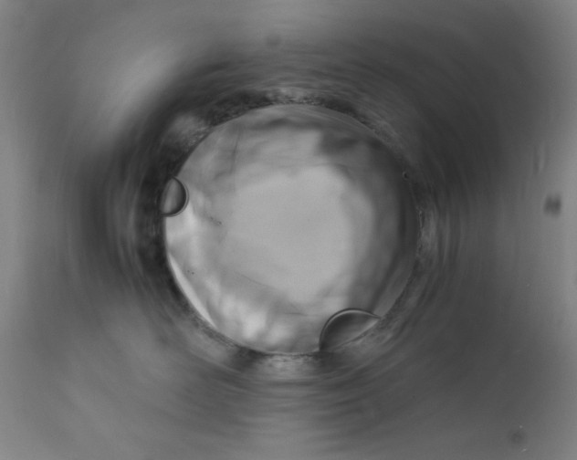 X0000112150526200909041106