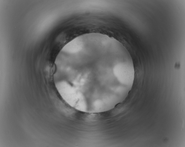 X0000112150527200909041106