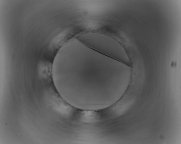 X0000112150528200909041106