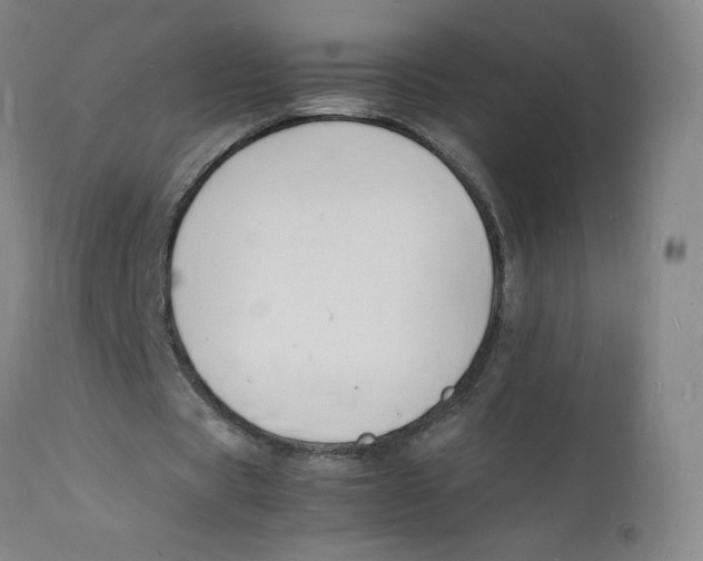 X0000112150529200909041106