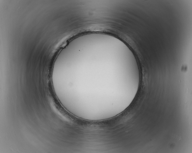 X0000112150530200909041106