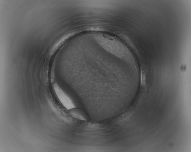 X0000112150531200909041106