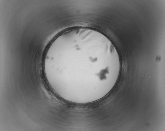 X0000112150532200909041106