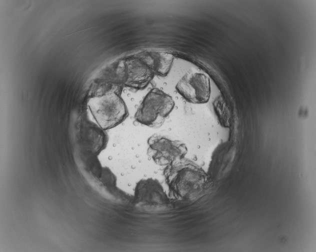 X0000112150533200909041106