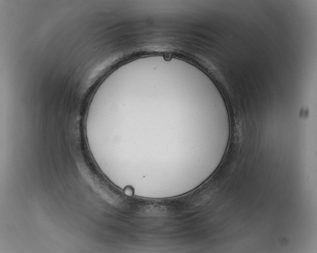 X0000112150535200909041106