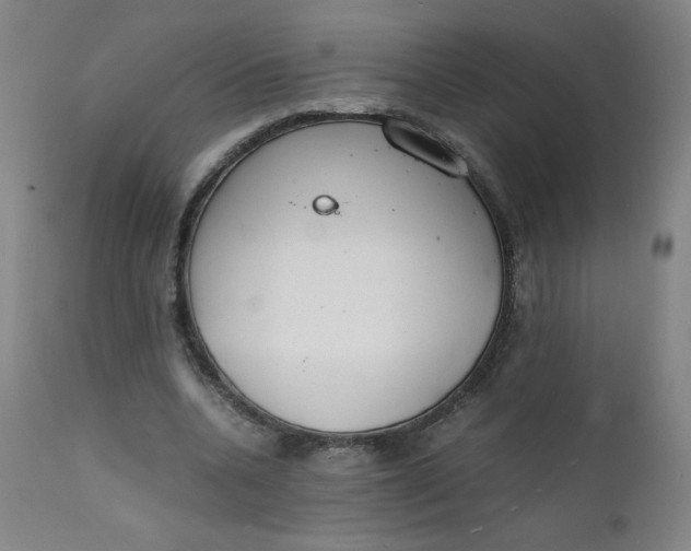 X0000112150536200909041106