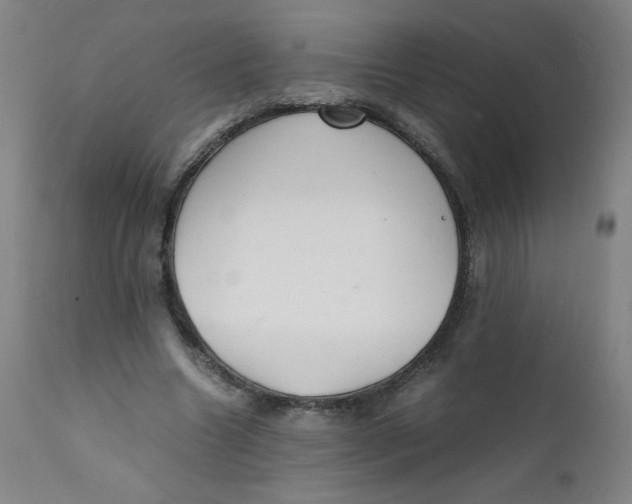 X0000112150538200909041106