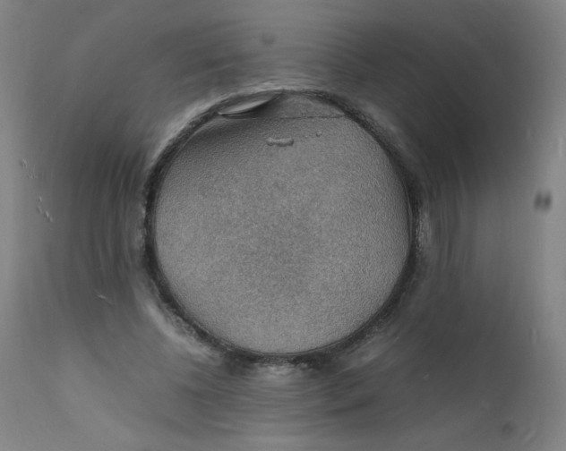 X0000112150540200909041106