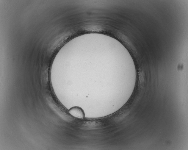 X0000112150541200909041106