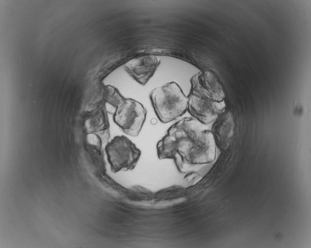 X0000112150545200909041106