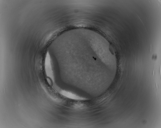 X0000112150547200909041106