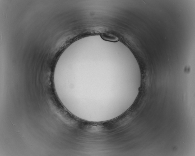 X0000112150548200909041106