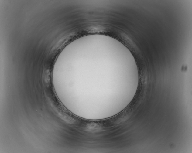 X0000112150549200909041106