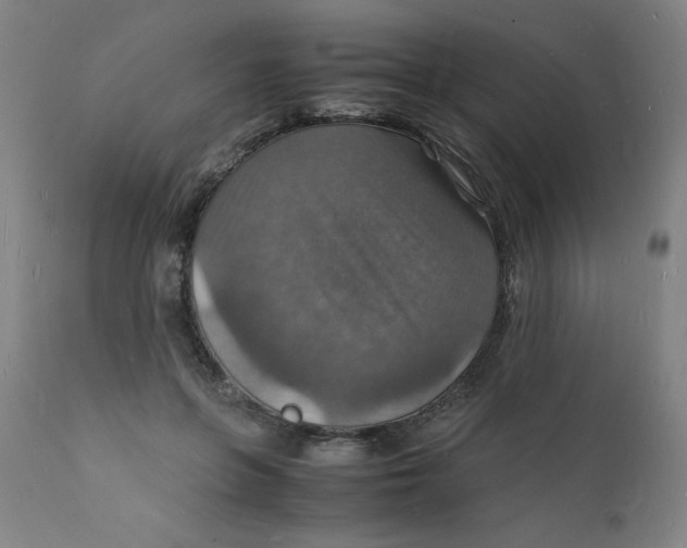 X0000112150551200909041106