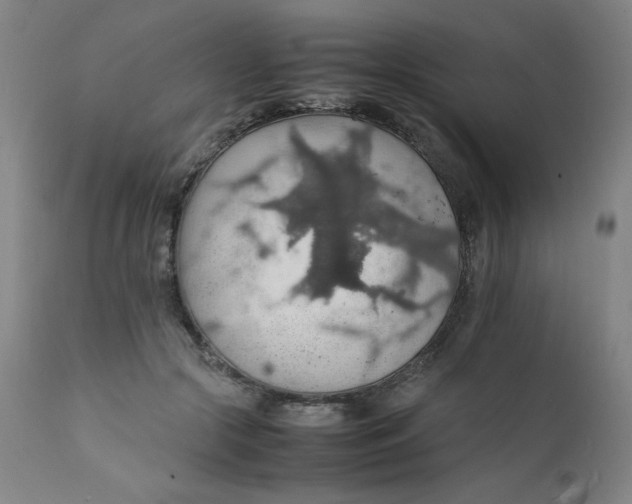 X0000112150553200909041106