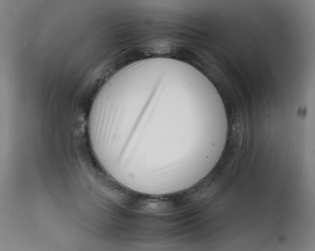 X0000112150555200909041106