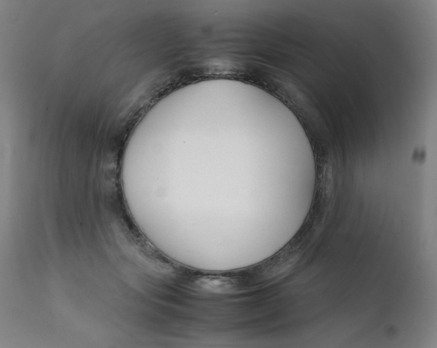 X0000112150557200909041106