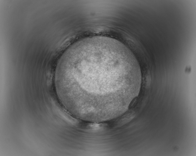 X0000112150558200909041106