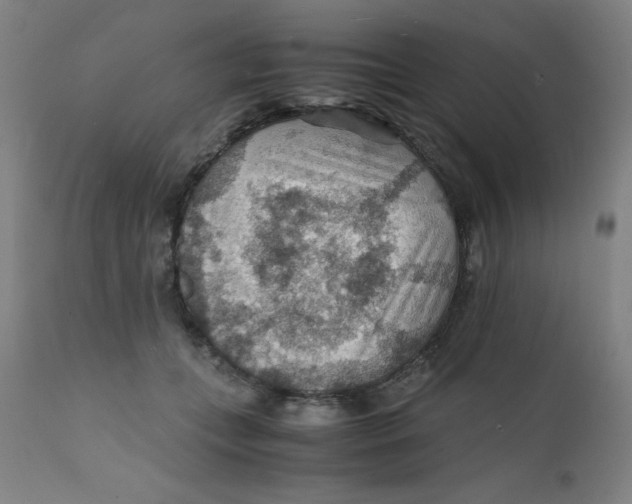 X0000112150559200909041106