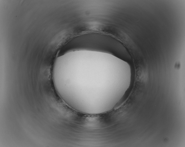 X0000112150560200909041106