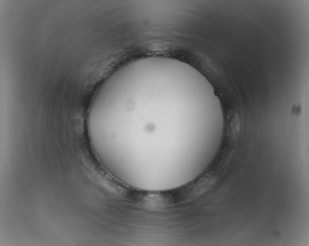 X0000112150562200909041106