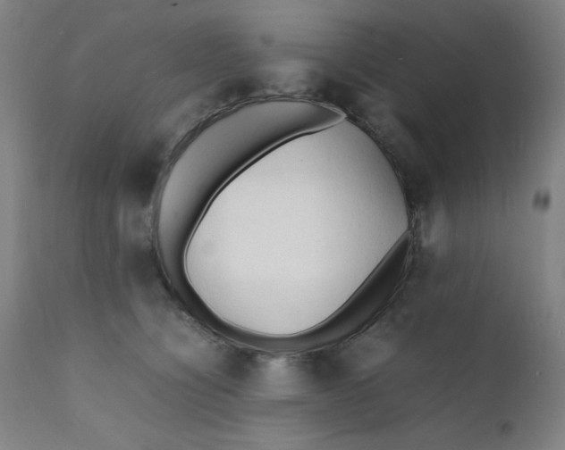 X0000112150564200909041106