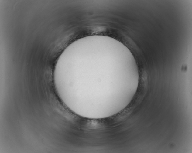 X0000112150565200909041106