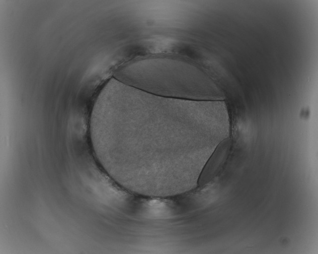 X0000112150566200909041106