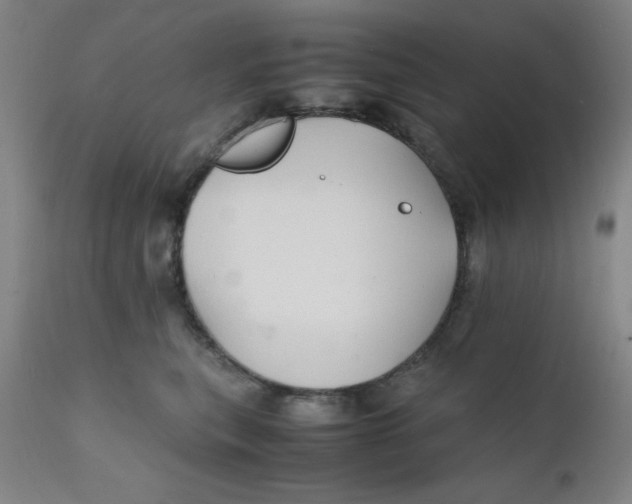 X0000112150567200909041106