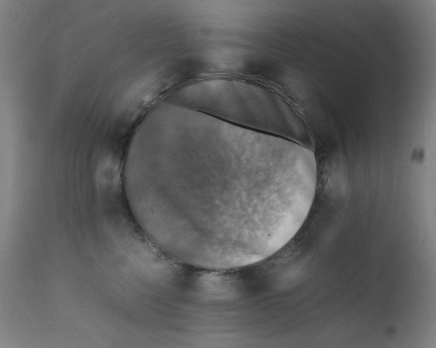 X0000112150568200909041106