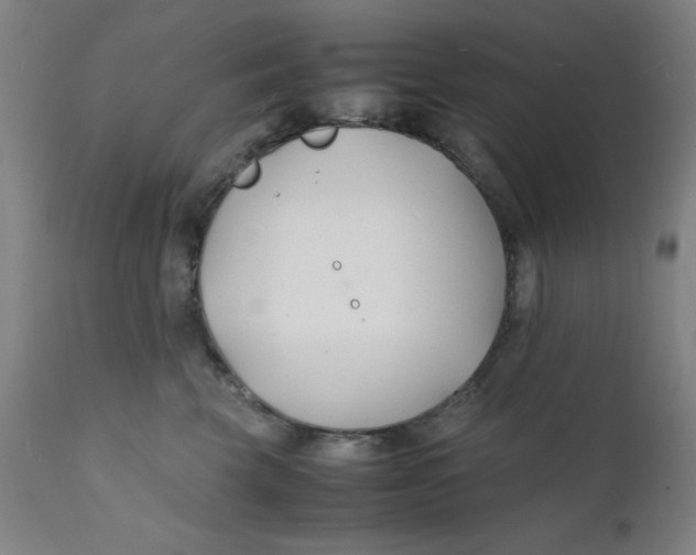 X0000112150569200909041106