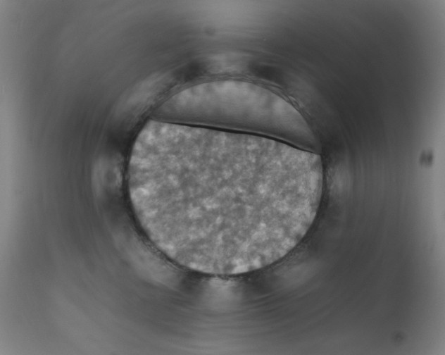 X0000112150570200909041106