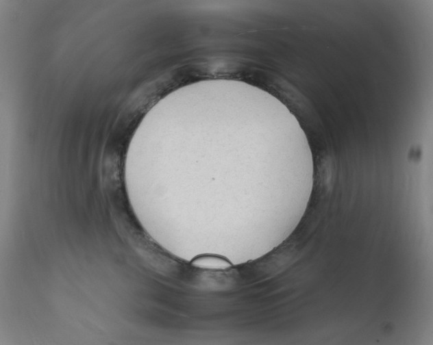 X0000112150571200909041106